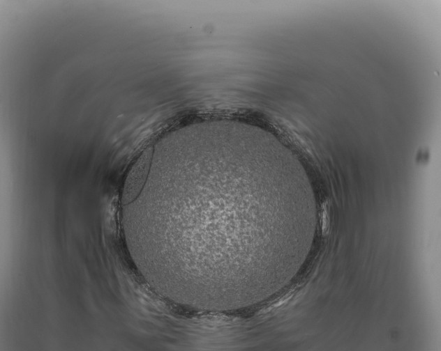 X0000090761059200707271501