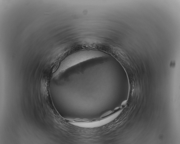 X0000090761060200707271501