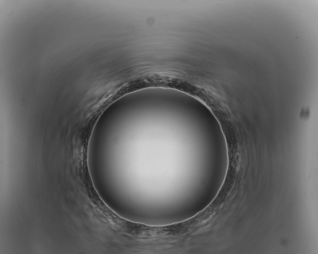 X0000090761061200707271501