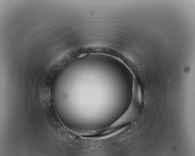 X0000090761062200707271501