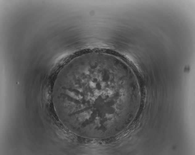 X0000090761063200707271501