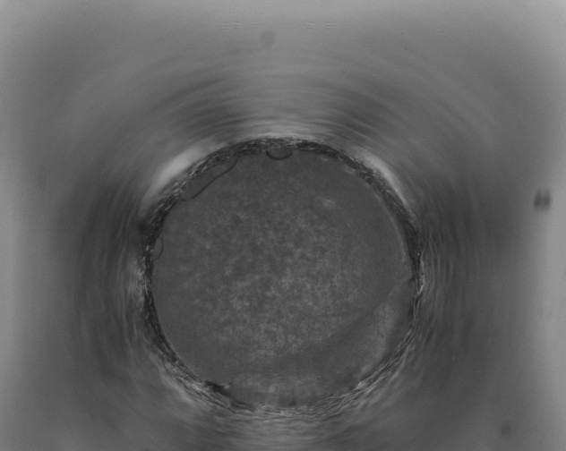 X0000090761064200707271501