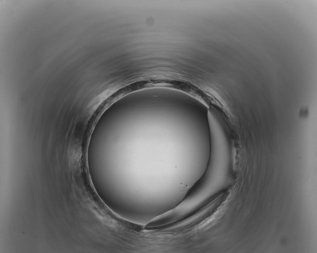 X0000090761065200707271501