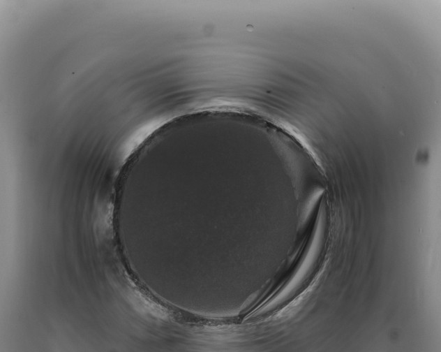 X0000090761066200707271501