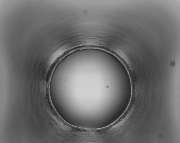 X0000090761067200707271501