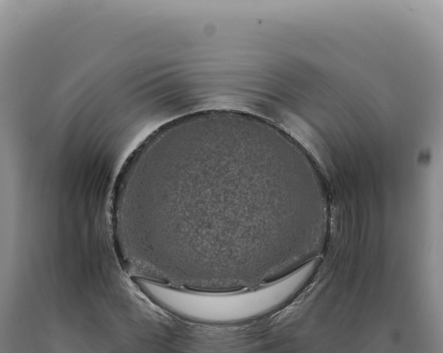 X0000090761068200707271501