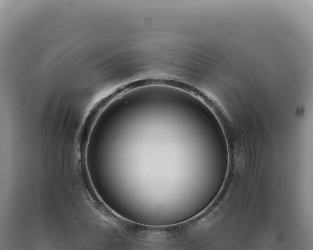 X0000090761070200707271501