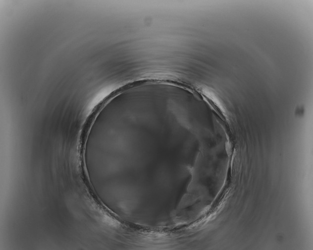 X0000090761071200707271501