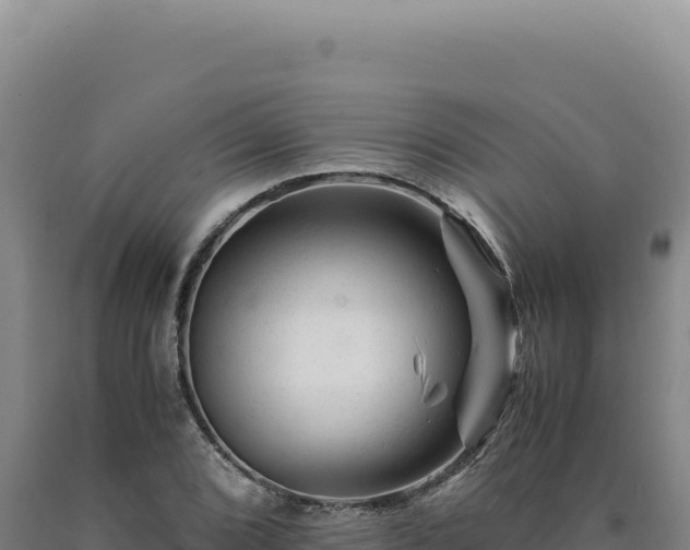 X0000090761072200707271501