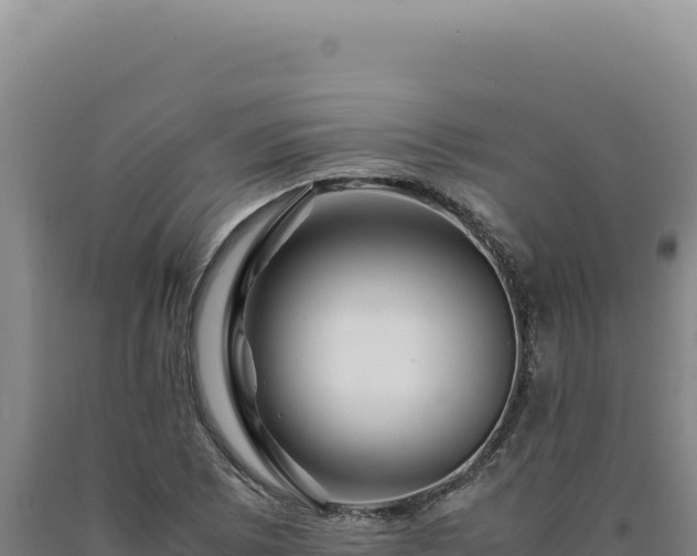 X0000090761073200707271501