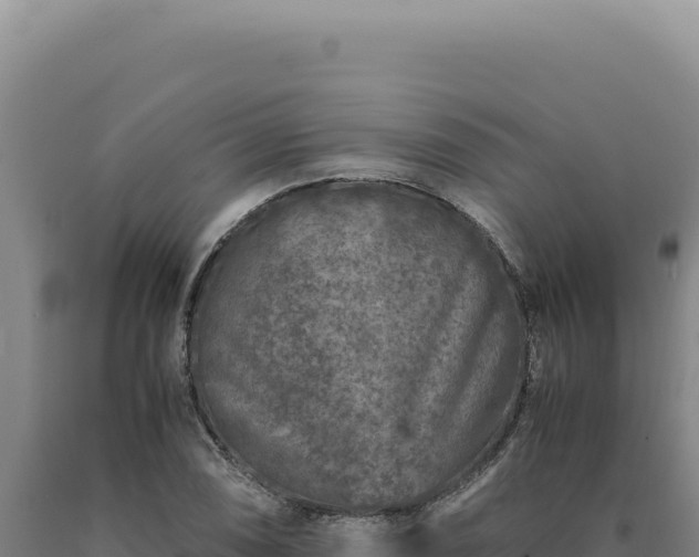 X0000090761074200707271501