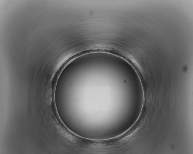 X0000090761075200707271501