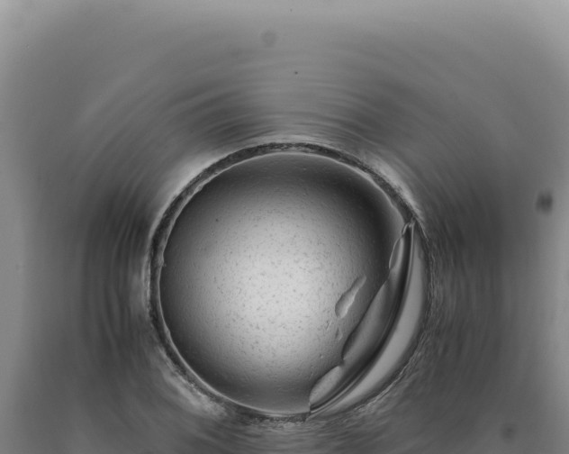 X0000090761076200707271501