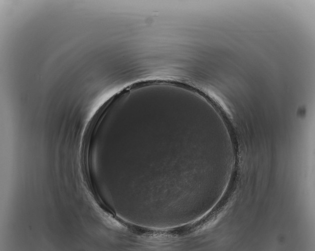 X0000090761077200707271501