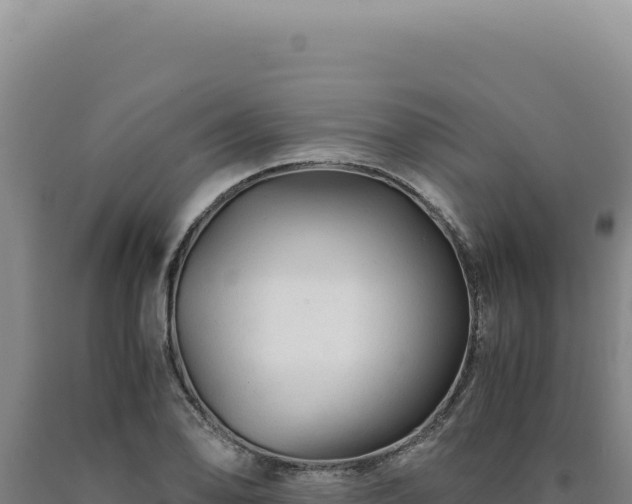 X0000090761078200707271501