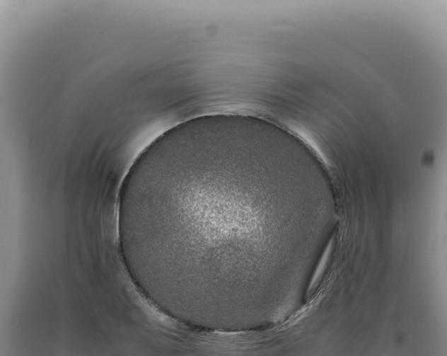 X0000090761079200707271501