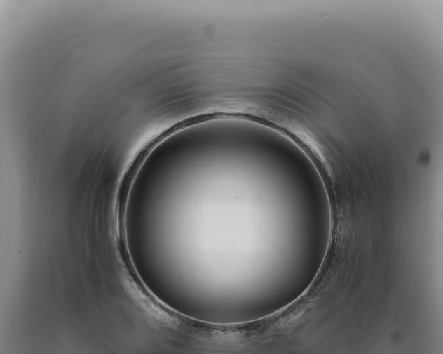 X0000090761080200707271501