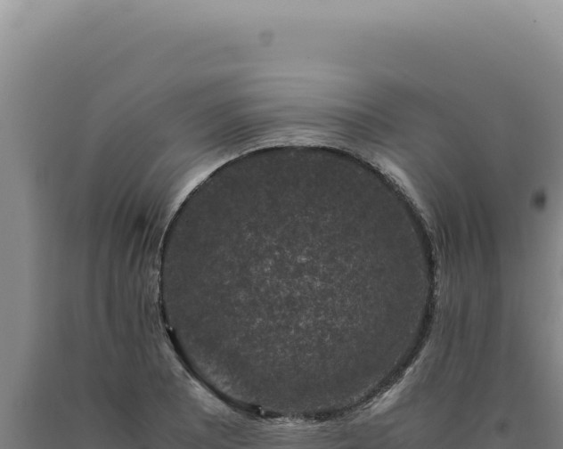 X0000090761081200707271501