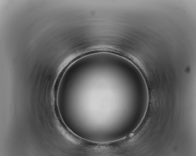 X0000090761082200707271501