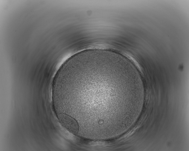 X0000090761083200707271501