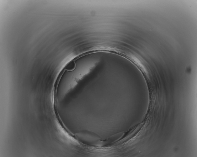 X0000090761084200707271501