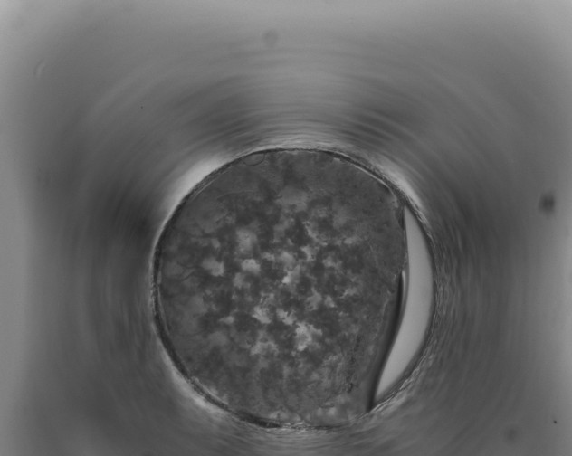 X0000090761087200707271501