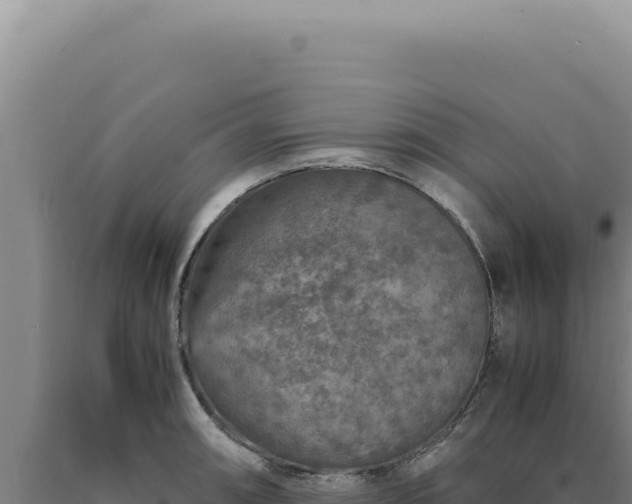 X0000090761090200707271501