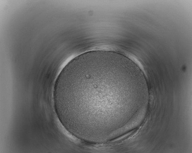 X0000090761091200707271501