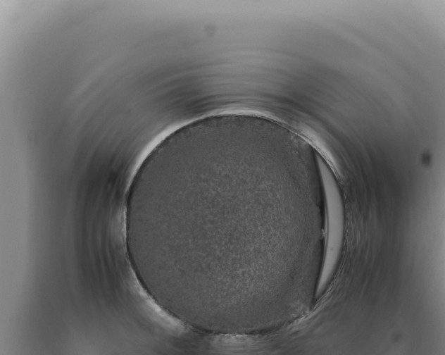 X0000090761092200707271501