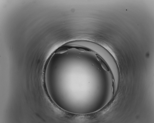 X0000090761093200707271501