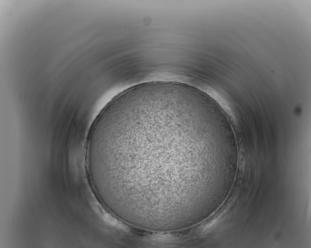 X0000090761094200707271501