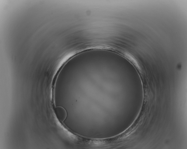 X0000090761095200707271501