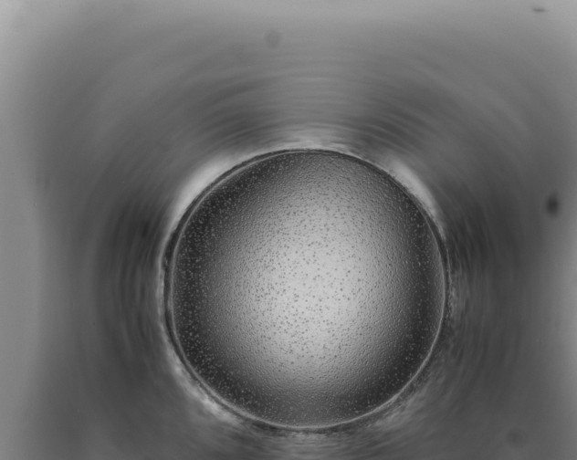 X0000090761096200707271501