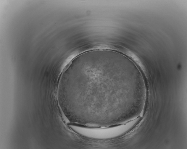 X0000090761097200707271501