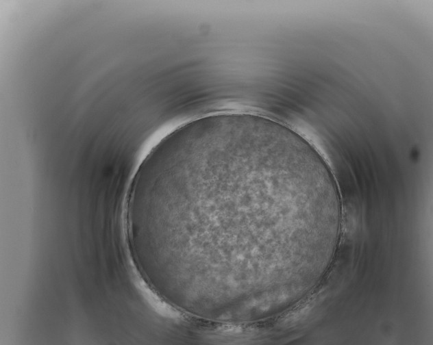 X0000090761098200707271501