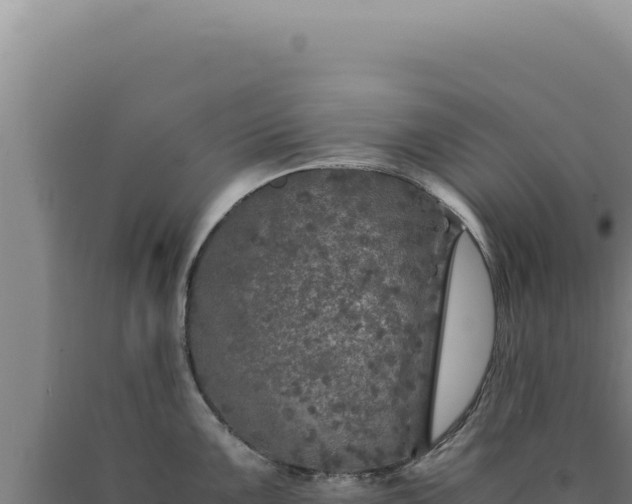 X0000090761099200707271501