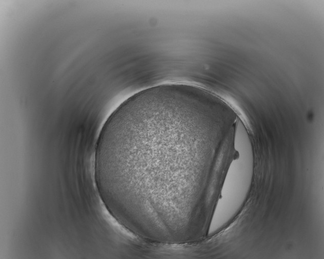 X0000090761100200707271501