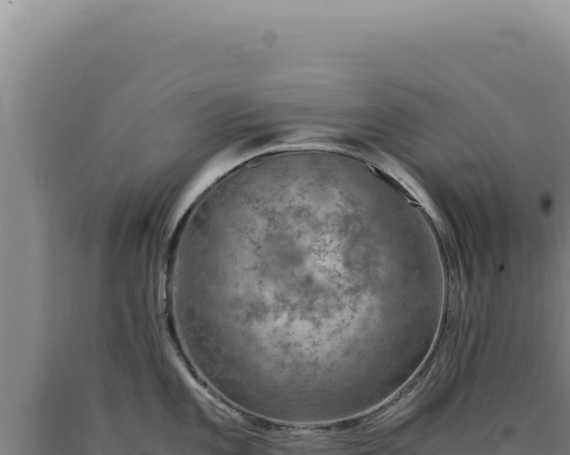 X0000090761101200707271501