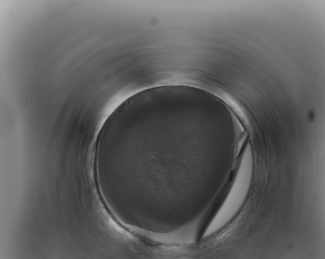 X0000090761102200707271501