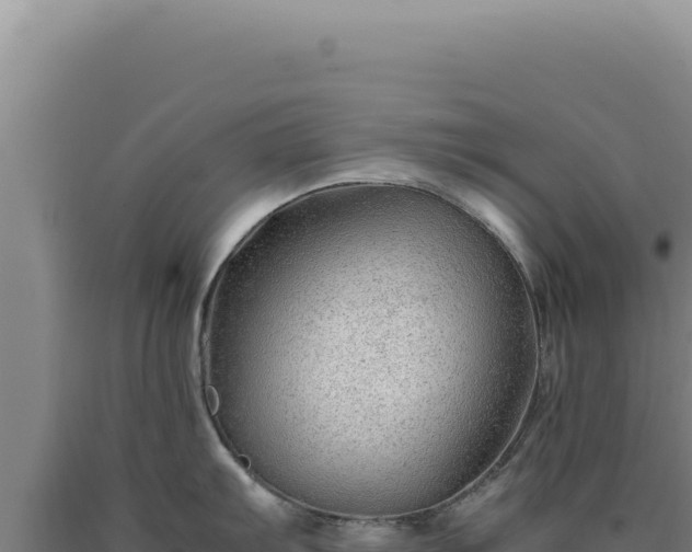 X0000090761103200707271501