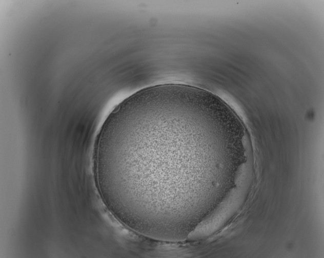 X0000090761104200707271501