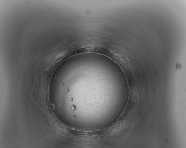 X0000090761105200707271500