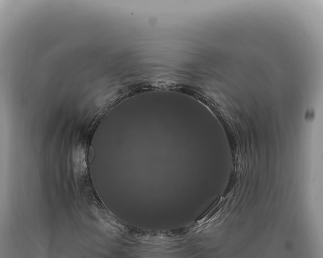 X0000090761106200707271500