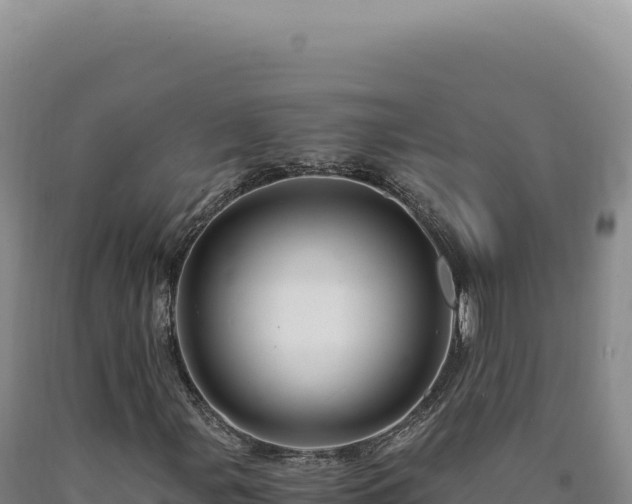 X0000090761107200707271500