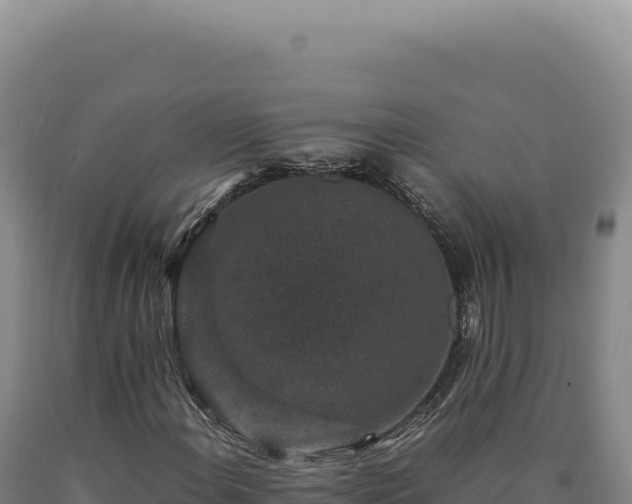 X0000090761108200707271500