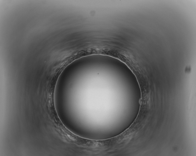 X0000090761109200707271500