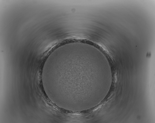 X0000090761110200707271500