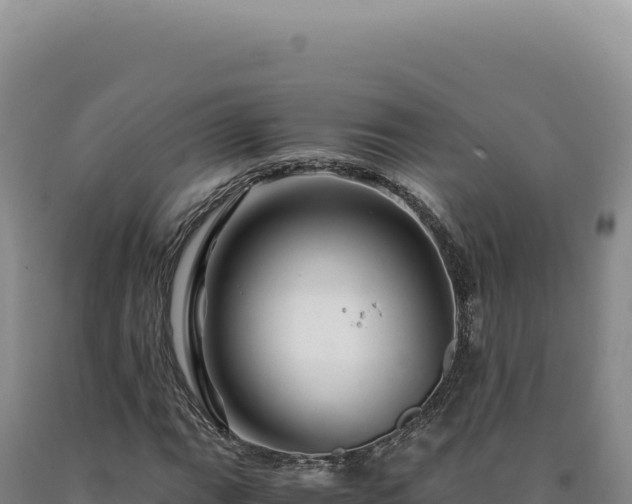 X0000090761111200707271500