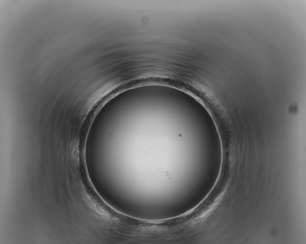 X0000090761113200707271500