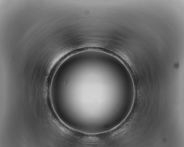 X0000090761119200707271500